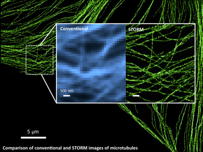 Comparison of conventional and STORM